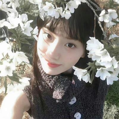 月陨回声